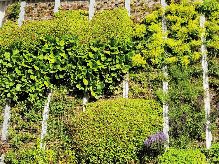 Der Vertical Garden begr�nt den Aussichtsturm des SkyLoops